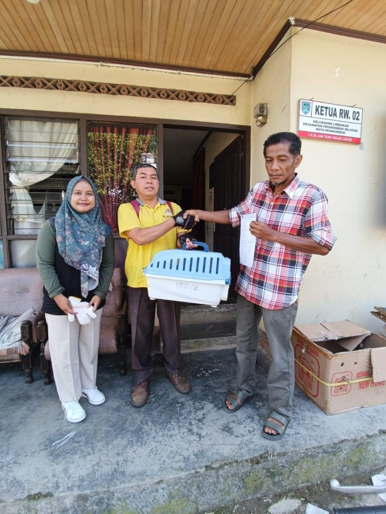 Kukang (Nycticebus) kembali ke habitatnya